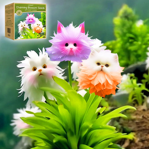 🇨🇦✨GFOUK® Dazzle Blossom Seeds